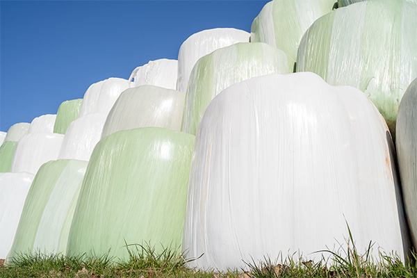 Silage bales protected by agricultural stretch film made from Lucofin