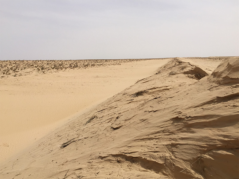 Dunes and desert road protected and stabilized by Lucosoil