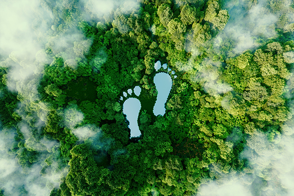 Pictogram-like footprints with a forest in the background