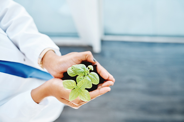 Two hands holding soil with a plant