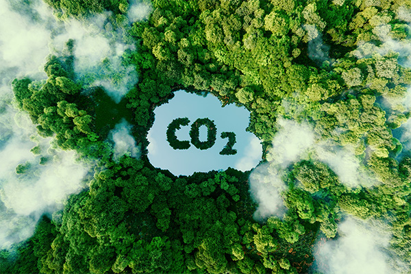 CO2 Zeichen mit einem Wald im Hintergrund