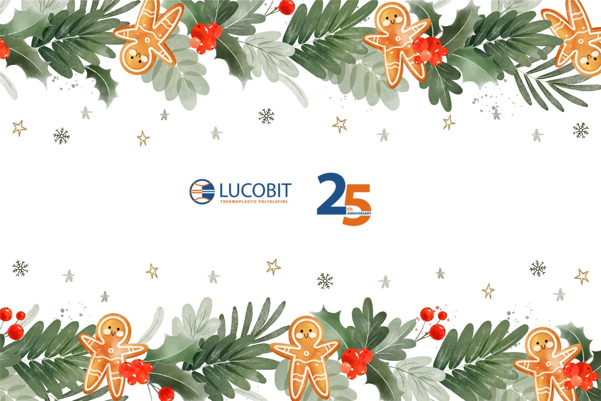 Frohe Weihnachten und ein frohes Neues Jahr!